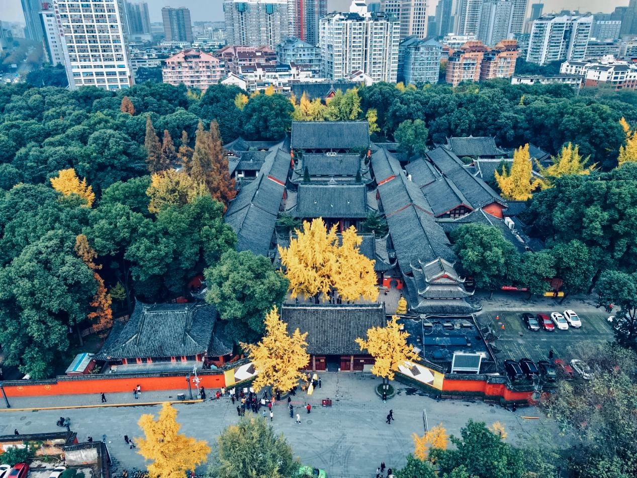 图片1_副本.jpg